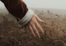 برای سحر