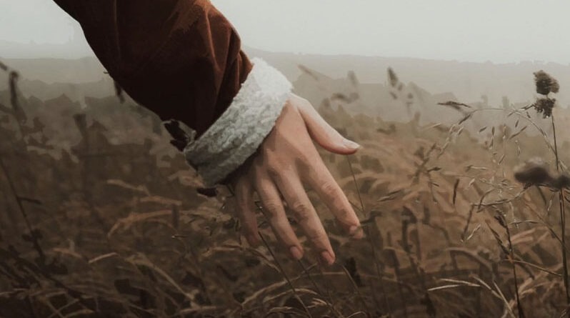 برای سحر